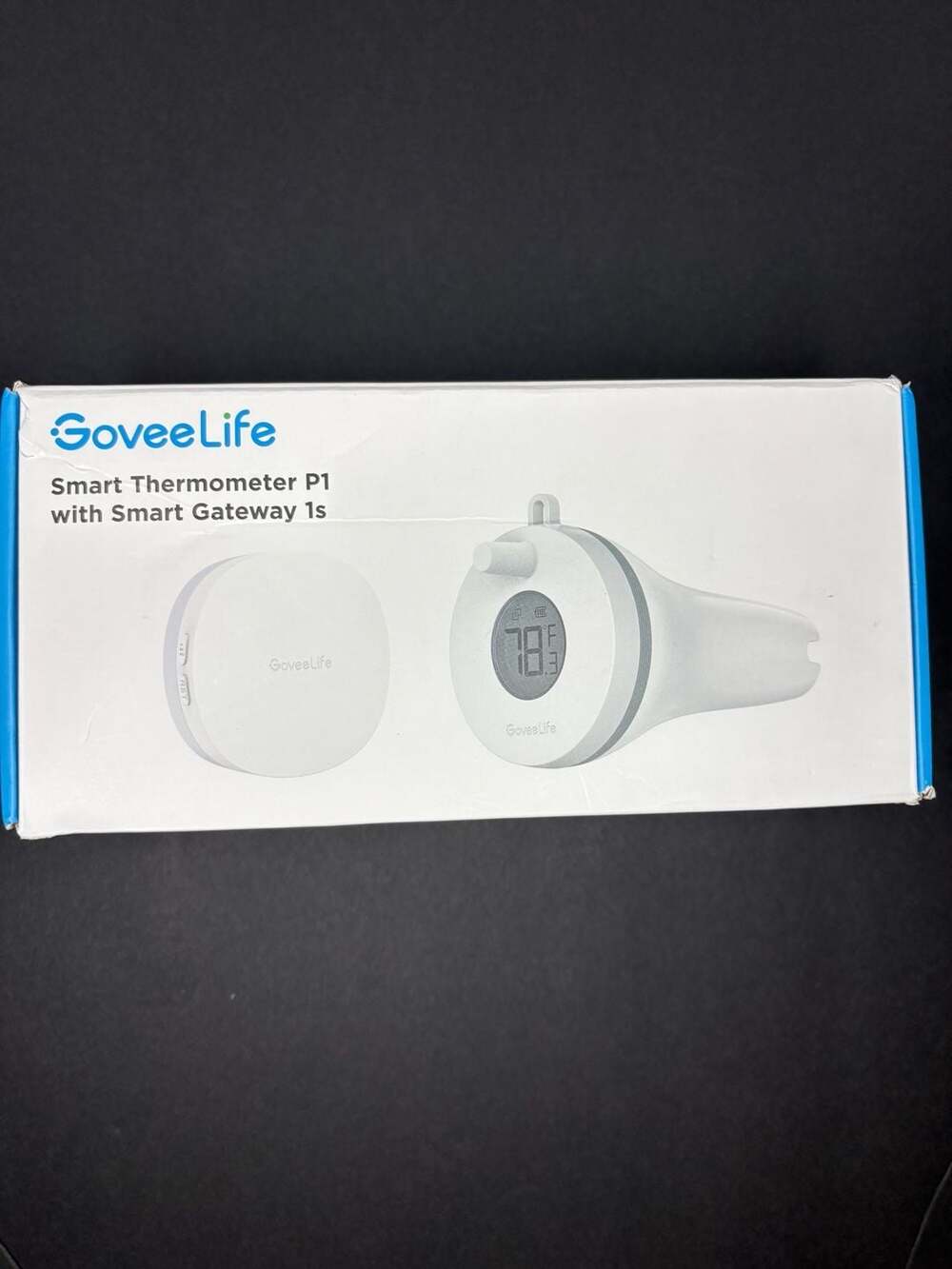 GoveeLife Smart Pool Thermometer P1 with Smart Gateway 1s